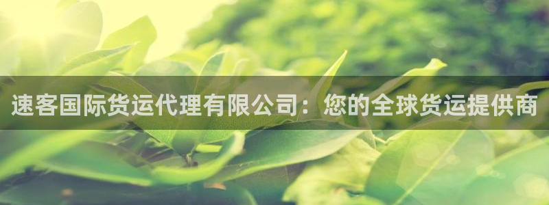 尊龙凯时最新平台登陆：速客国际货运代理有限公司：您的全球