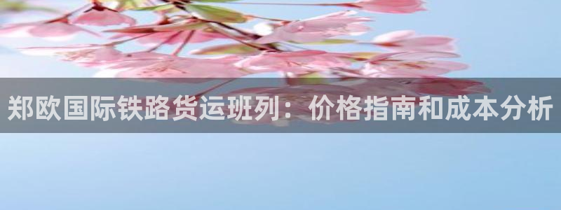 尊龙目前情况：郑欧国际铁路货运班列：价格指南和成本分析