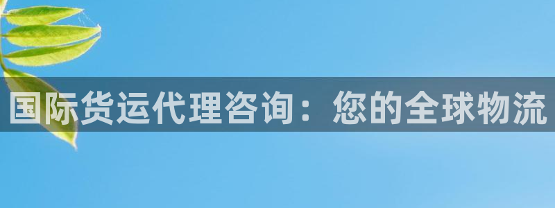 尊龙人生就是傅官网：国际货运代理咨询：您的全球物流